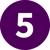 icon conlea 5
