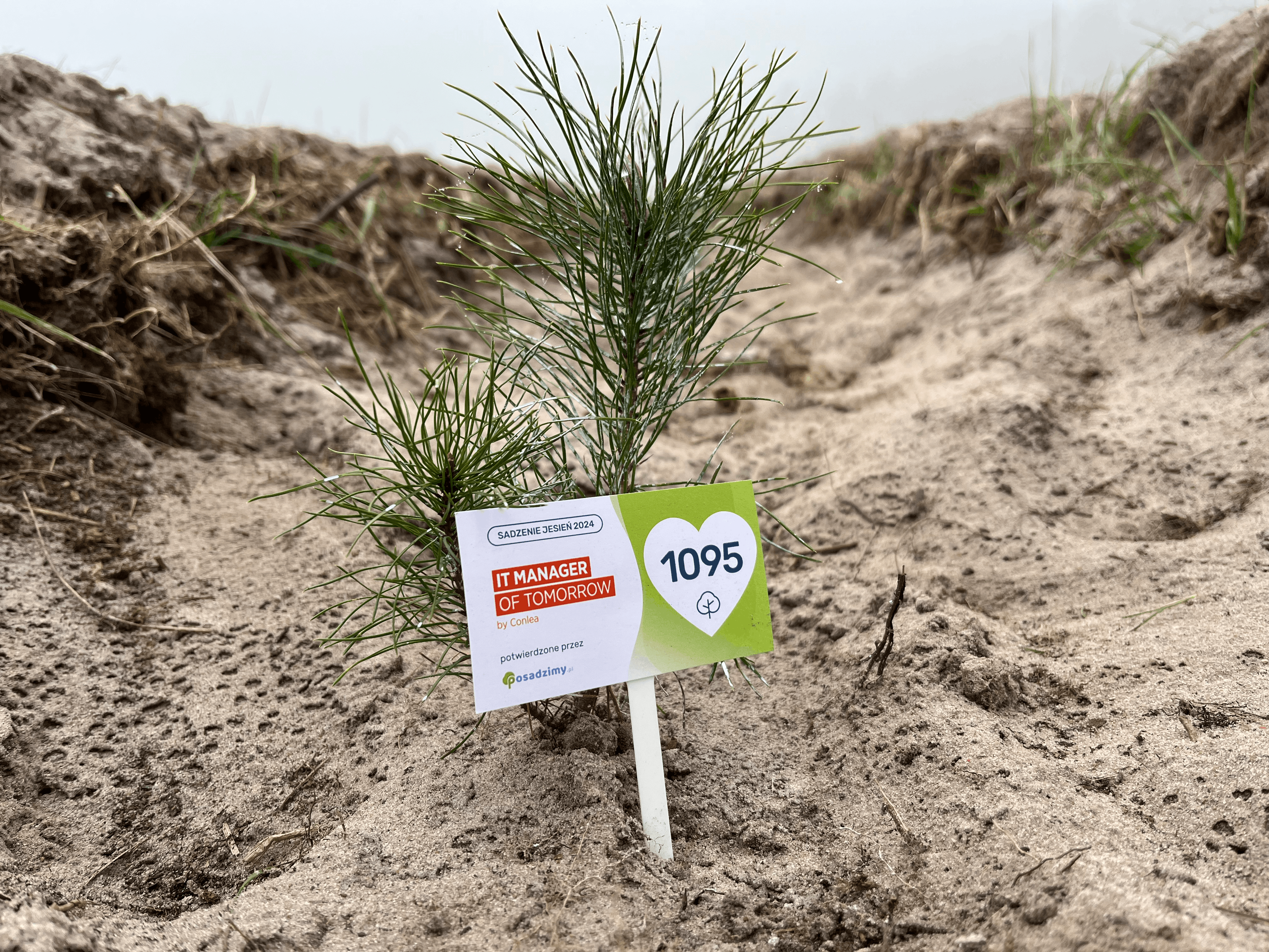 Inicjatywy społeczne